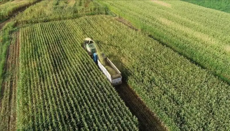 2025 Mart Ayı Mazot ve Gübre Desteği Ödemeleri: Son Durum ve Gelişmeler