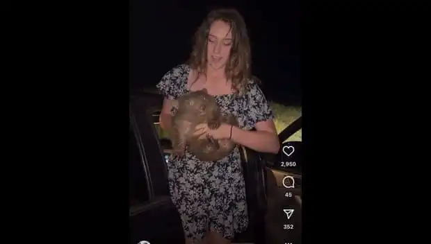 Yavru Hayvanı Anneden Ayırmanın Zorlukları ve Sığınma Hikayesi